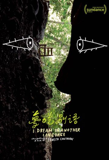 梦呓雨林封面图