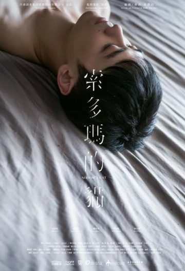 索多玛的猫封面图