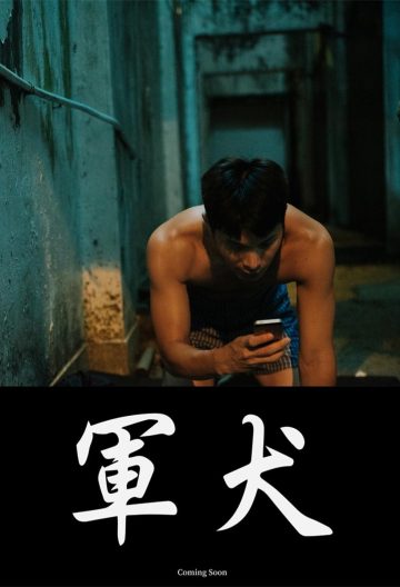 军犬封面图