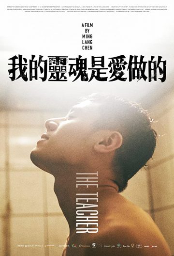 我的灵魂是爱做的封面图