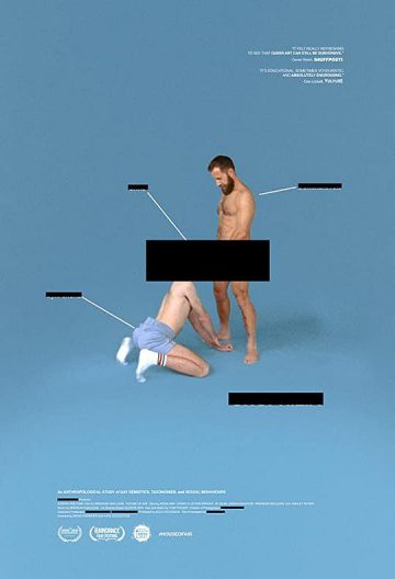 空气屋封面图
