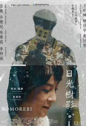日光树影封面图