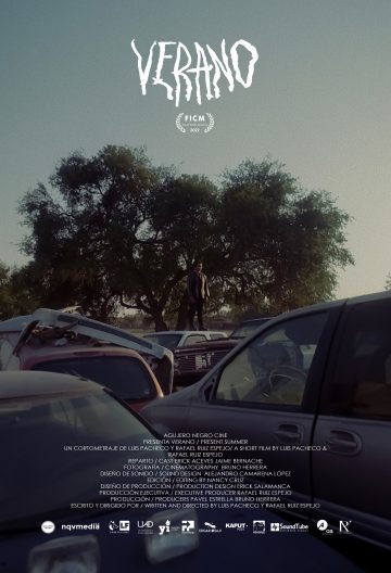 被你窃走的夏天封面图