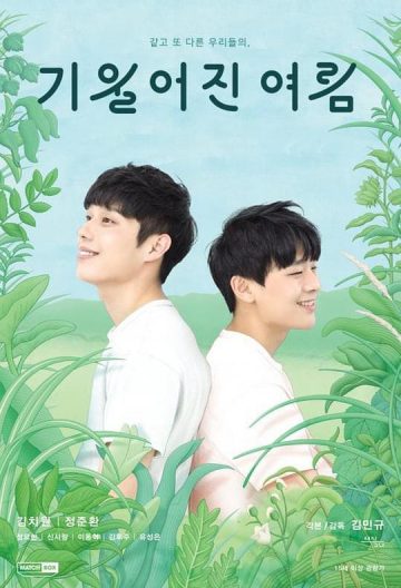 两周年的夏日之旅封面图