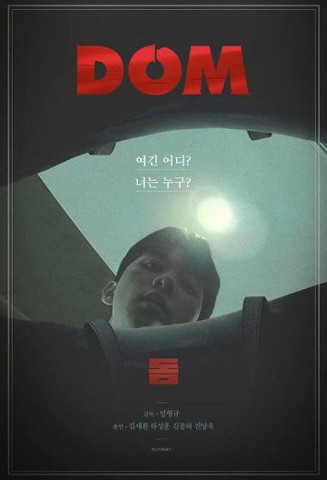 王的套套封面图