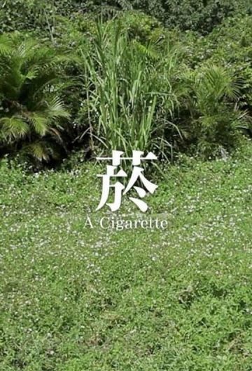 烟封面图