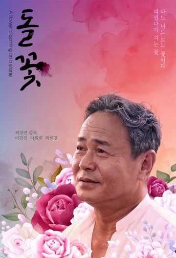 花开在迟暮时封面图
