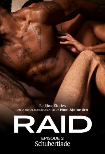 RAID 2：舒伯特之夜封面图