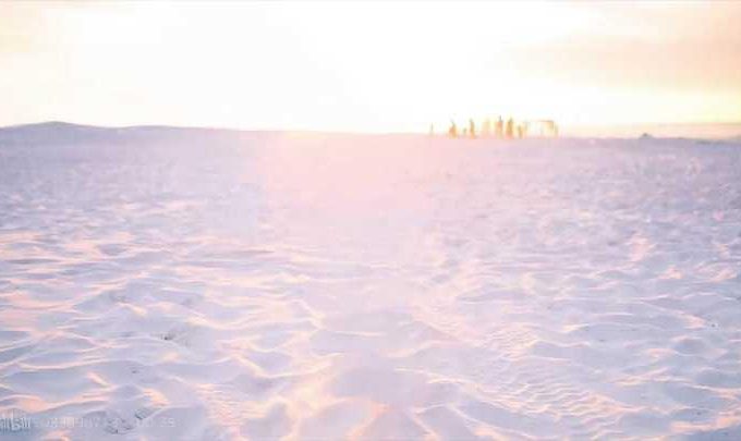 海报图